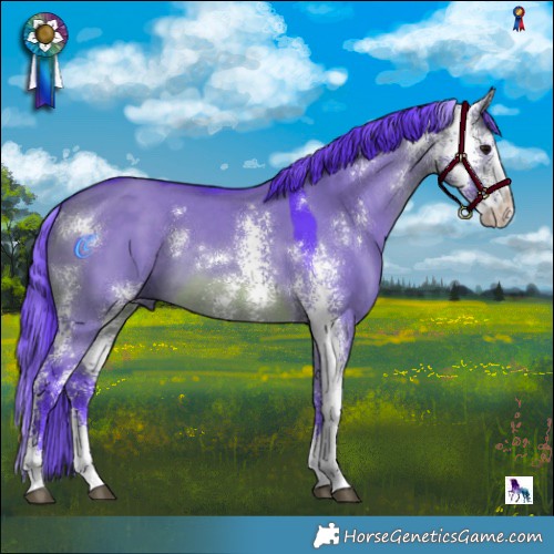 Horse Color:Watercolor Brown Dun Sabino