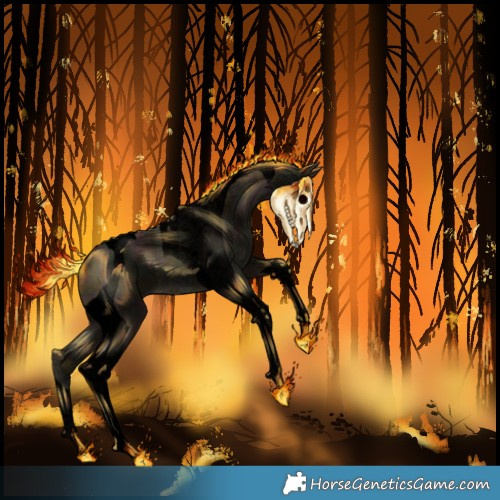 Horse Color:Void Midnight Gold Cream Champagne Tobiano Rabicano