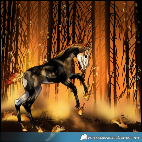 Horse Color:Gray Void Palomino Onyx Tobiano