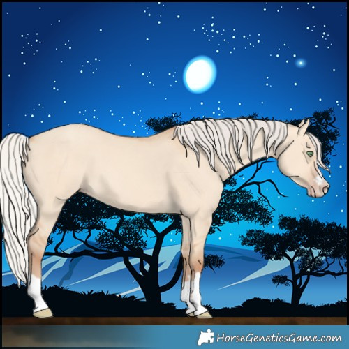 Horse Color:Silver Amber Champagne Dun 