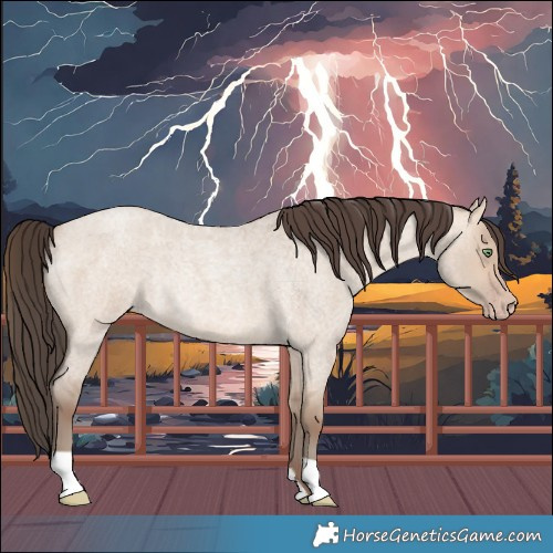 Horse Color:Sable Champagne Roan Dun Rabicano