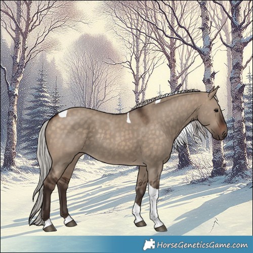 Horse Color:Silver Brown Dun Tobiano Rabicano 