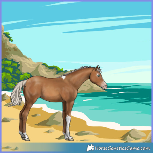 Horse Color:Gray Silver Amber Champagne Tobiano Rabicano 