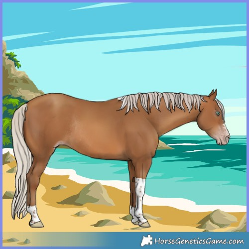 Horse Color:Gray Silver Amber Champagne Tobiano Rabicano 