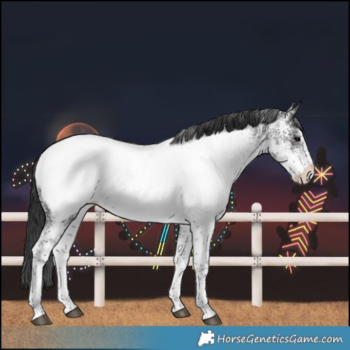 Horse Color:White Spotted Black Near Fewspot