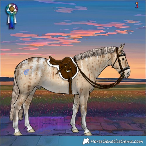 Horse Color:Powder White Chocolate Palomino Dun Brindle 