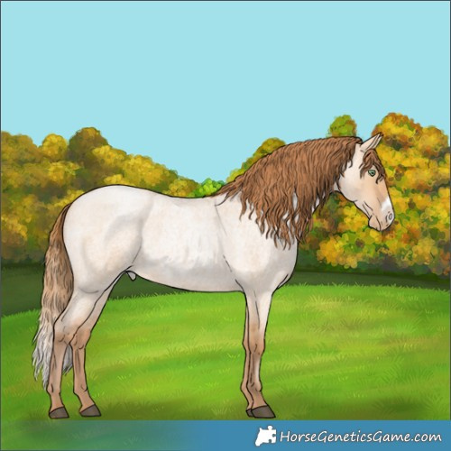 Horse Color:Bay Roan Pearl Dun Frame 