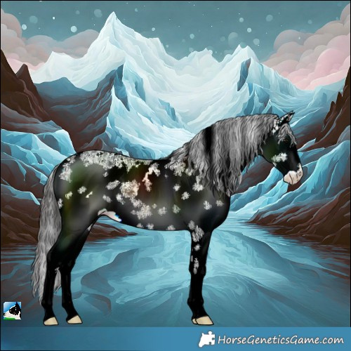 Horse Color:White Spotted Brown Ice Sabino Varnish 