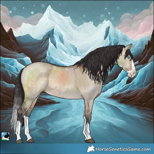 Horse Color:Bay Dun Splash
