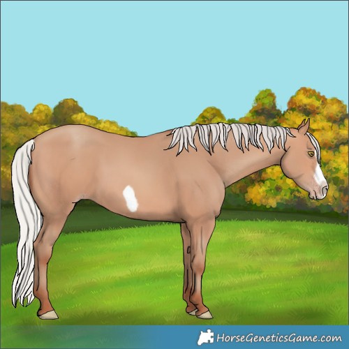Horse Color:Silver Amber Champagne Frame 