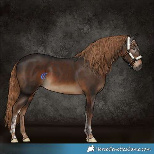 Horse Color:Gray Liver Chestnut Tobiano Rabicano 