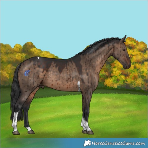 Horse Color:Brown Dun Tobiano Rabicano Brindle 