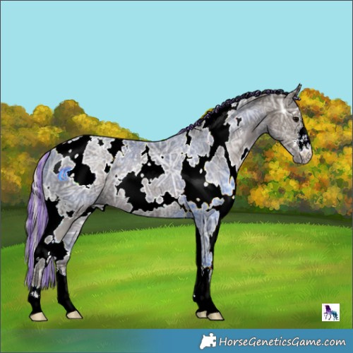 Horse Color:Painted White Spotted Silver Black Ice 
