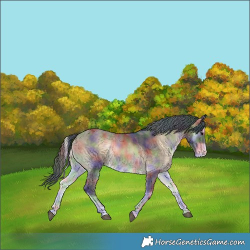 Horse Color:Nacre Brown Onyx Varnish 