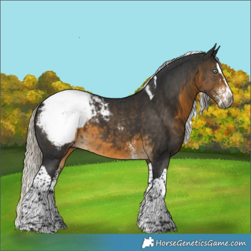 Horse Color:Gray Silver Buckskin Sabino Splash Tobiano Snowcap 