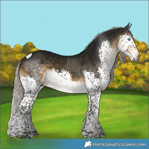 Horse Color:Gray Silver Buckskin Splash Tobiano Varnish 