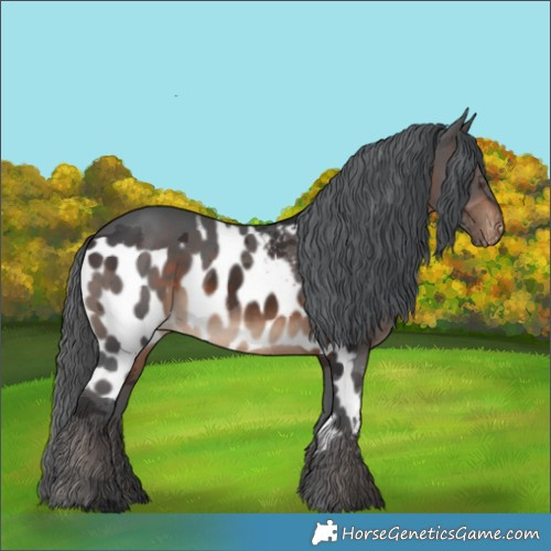 Horse Color:Brown Merle Skewed LP Spotted