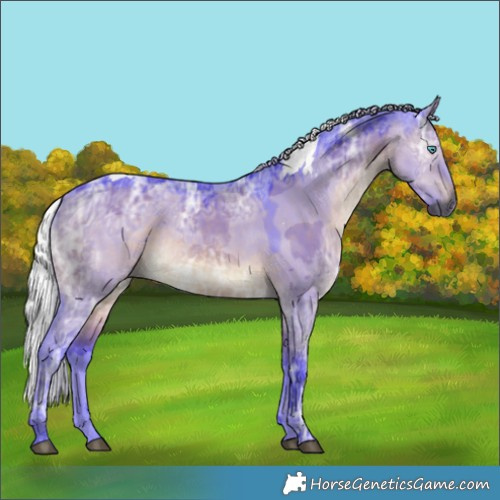 Horse Color:Gray Watercolor Silver Brown Ice Dun Merle 