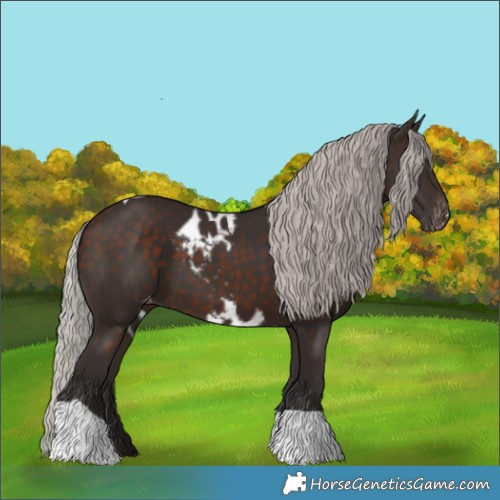 Horse Color:Silver Brown Tobiano Skewed LP Spotted 