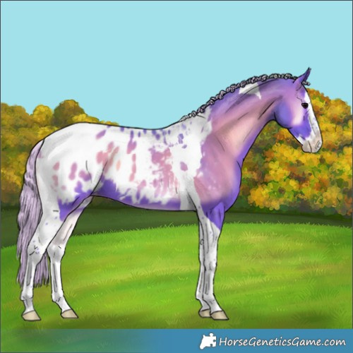 Horse Color:Watercolor Silver Blue Onyx Splash Tobiano Blanket 
