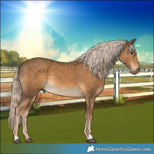 Horse Color:Chocolate Palomino Rabicano 
