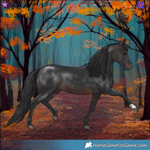 Horse Color:Brown 