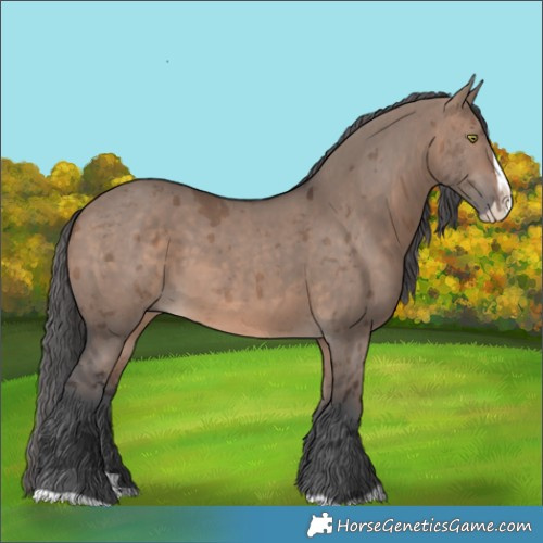 Horse Color:Brown Dun Merle Splash