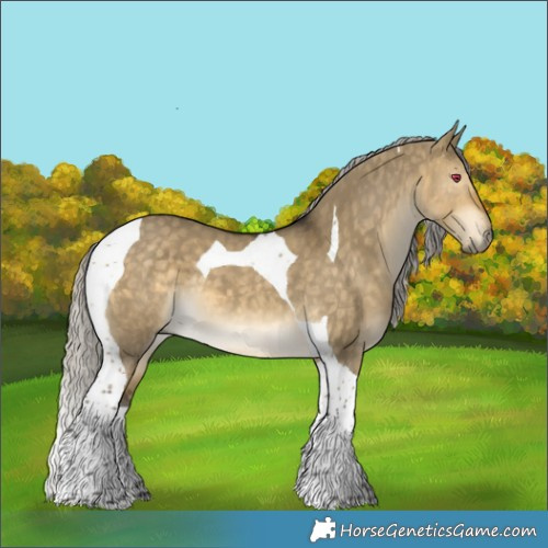 Horse Color:Silver Buckskin Dun Tobiano