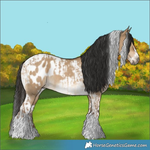 Horse Color:Gray Liver Red Dun Tobiano Blanket and Gray Liver Red Dun Tobiano Frame Blanket