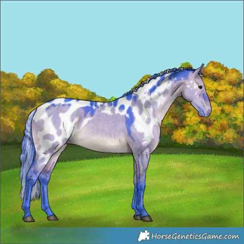 Horse Color:Watercolor Brown Dun Skewed LP Spotted Rabicano 