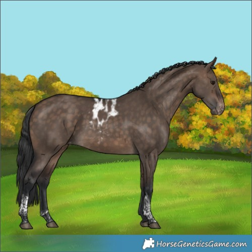 Horse Color:Brown Dun Tobiano Skewed LP Spotted
