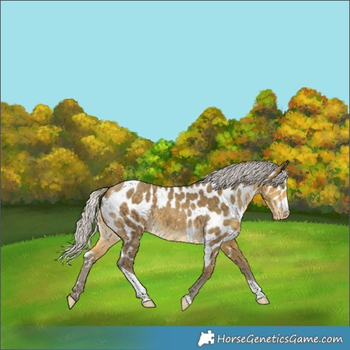 Horse Color:Silver Sable Cream Champagne Tobiano Skewed LP Spotted 