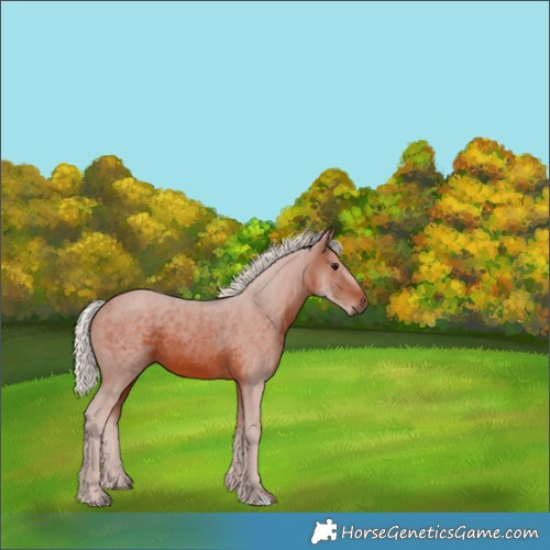 Horse Color:Silver Brown