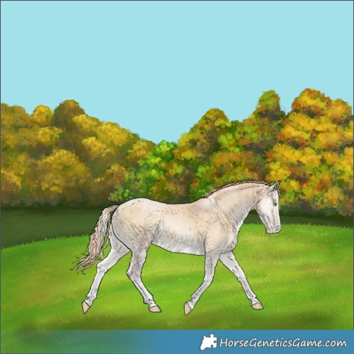 Horse Color:Smoky Blue Onyx Pearl Merle