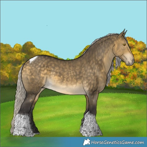Horse Color:Silver Buckskin Dun Tobiano 