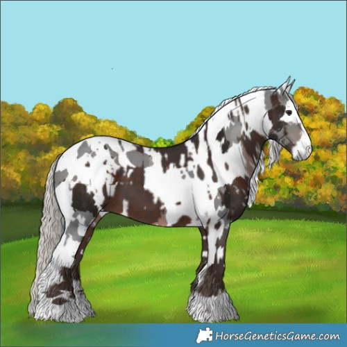 Horse Color:Silver Brown and Gray White Spotted Silver Brown Merle Tobiano