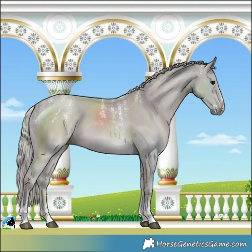 Horse Color:Powder White Silver Black