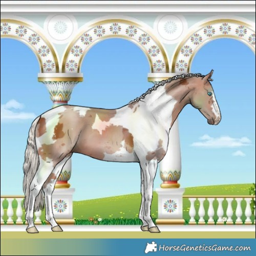 Horse Color:Silver Bay Merle