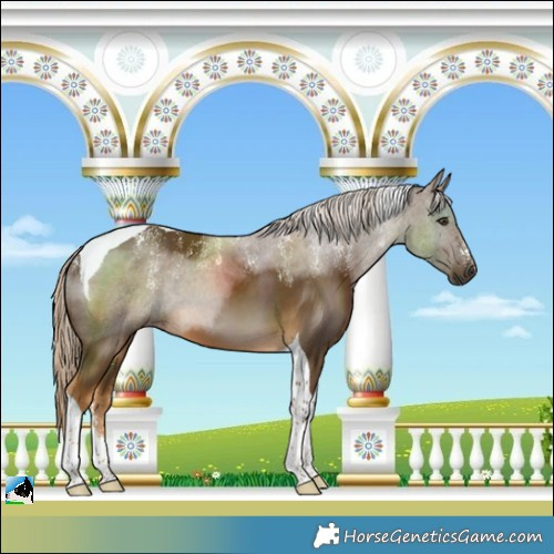 Horse Color:Powder White Chocolate Palomino Tobiano