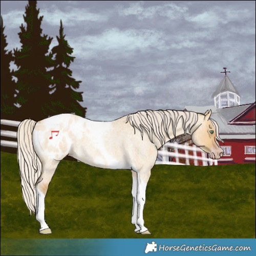 Horse Color:Gray Silver Amber Cream Champagne Roan Dun Splash Tobiano Frame Blanket Rabicano