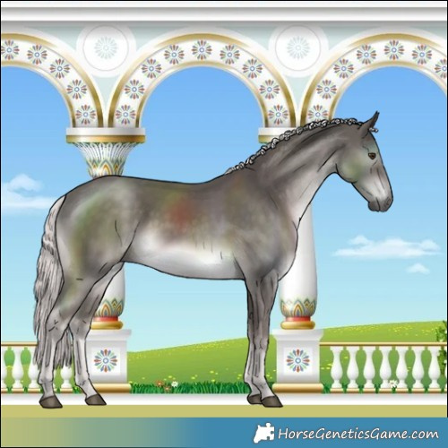 Horse Color:Platinum Chocolate Palomino Rabicano