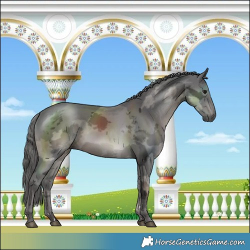 Horse Color:Platinum Smoky Black Mushroom Merle Rabicano 