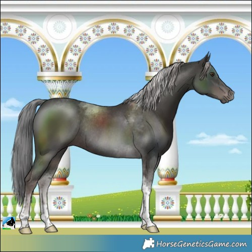Horse Color:Platinum Liver Chestnut Tobiano Rabicano