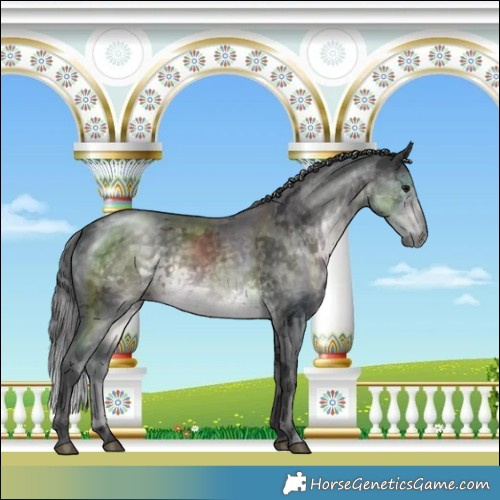 Horse Color:Platinum Buckskin Merle Rabicano 
