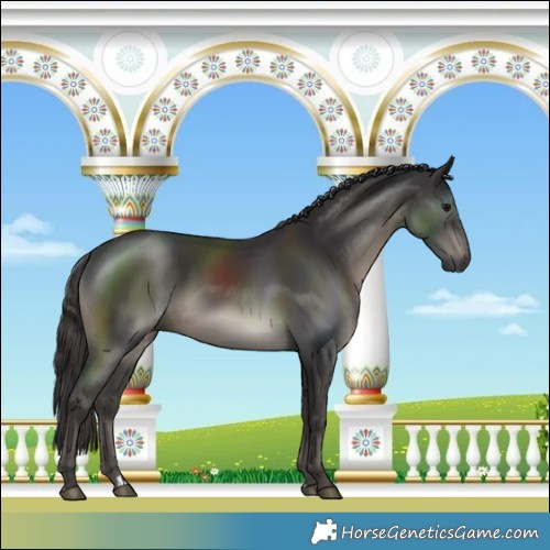 Horse Color:Platinum Smoky Black 