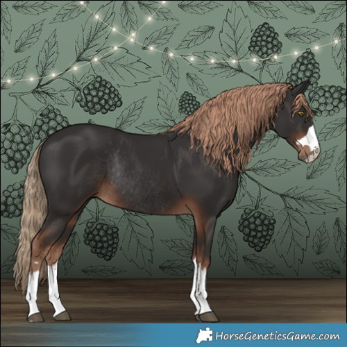 Horse Color:Liver Chestnut Rabicano 