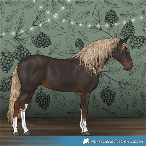 Horse Color:White Spotted Liver Chestnut 