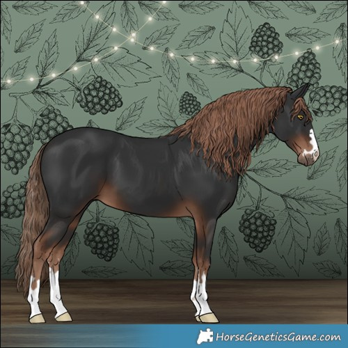 Horse Color:Liver Chestnut 