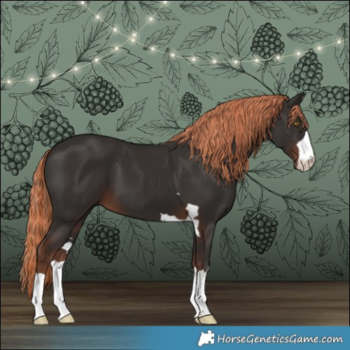 Horse Color:Liver Chestnut 