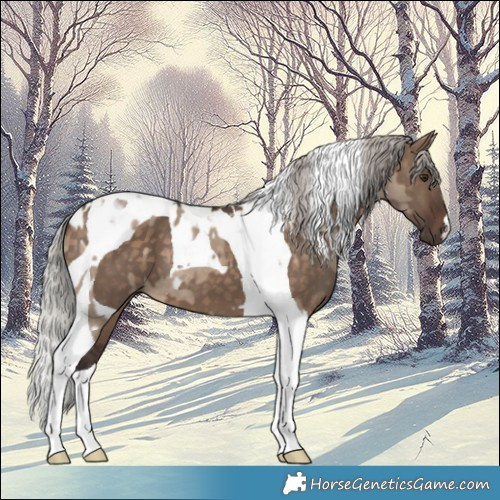 Horse Color:Silver Brown Dun Tobiano  and Silver Brown Dun Tobiano 